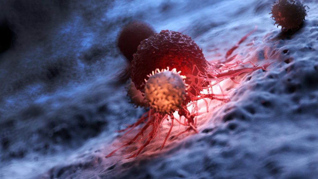 Combating T cell exhaustion in CAR T cancer therapy | Kerafast Blog